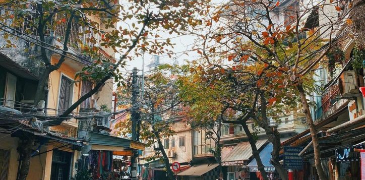 ha-noi-36-pho-phuong-1-2