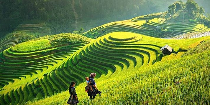sapa-wallpaper-2