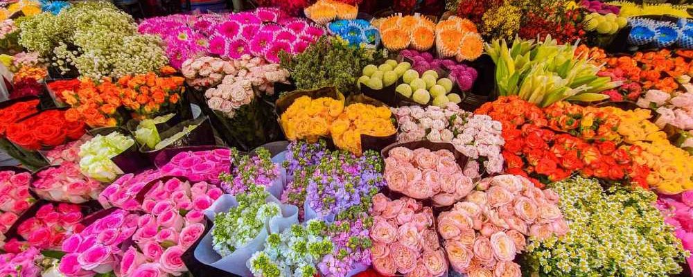 quang-an-flower-market-where-hanoi-blooms-before-sunrise