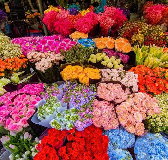 quang-an-flower-market-where-hanoi-blooms-before-sunrise