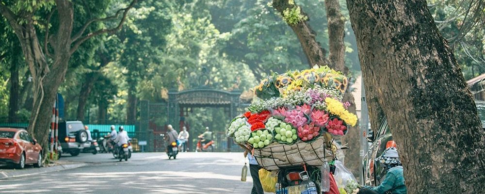 nhung-dieu-nen-lam-de-trai-nghiem-mot-mua-thu-tron-ven-tai-ha-noi