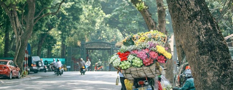 things-to-do-for-the-perfect-autumn-experience-in-hanoi