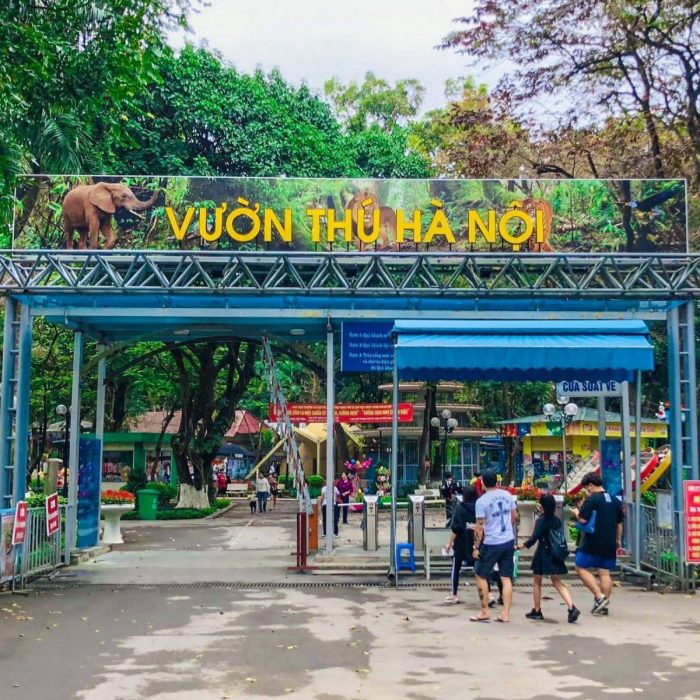 hanoi-zoo-a-green-escape-in-the-heart-of-the-capital