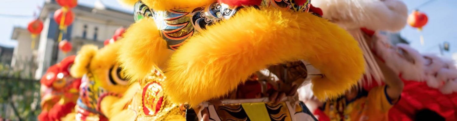 lan-su-rong-viet-nam-sac-mau-van-hoa-trong-nhung-mua-le-hoi