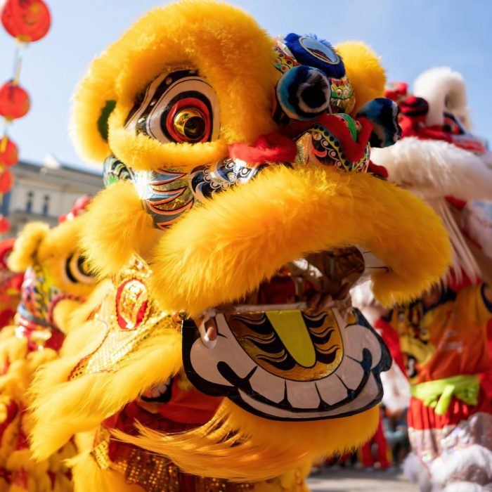 lan-su-rong-viet-nam-sac-mau-van-hoa-trong-nhung-mua-le-hoi